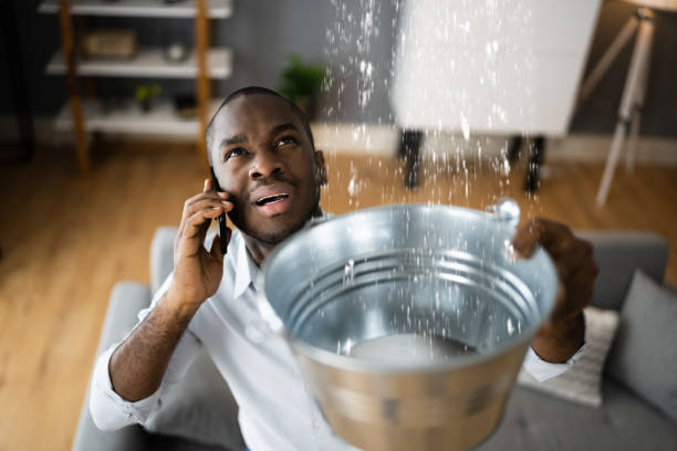 Best Water damage mitigation services  in Stepney, CT