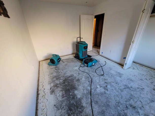 Best Basement water damage restoration  in Stepney, CT