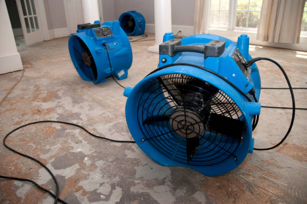 Best Mold removal after water damage  in Stepney, CT