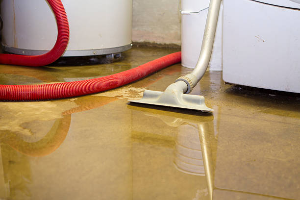 Best 24-hour water damage restoration  in Stepney, CT
