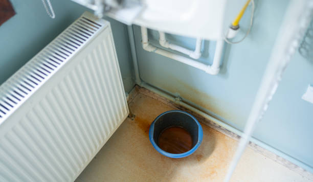 Best Residential water damage restoration  in Stepney, CT
