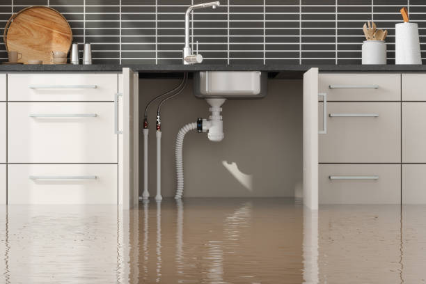 Best Commercial water damage restoration  in Stepney, CT