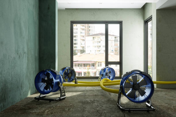 Best Emergency water damage restoration  in Stepney, CT